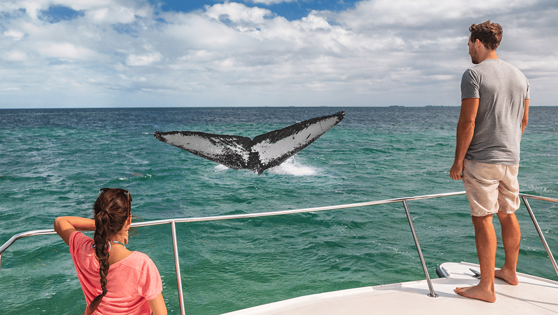 Beautiful Cabo scenery